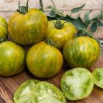 Potagères - Tomate Green Zebra - BIO - face recto